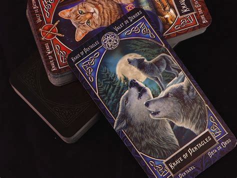 We suggested. . Who is wolfman experience tarot